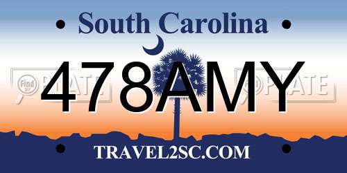 478AMY South Carolina License Plate