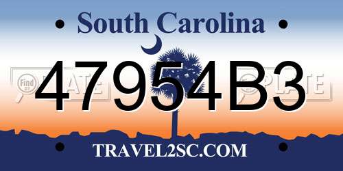 47954B3 South Carolina License Plate