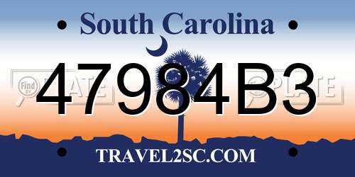 47984B3 South Carolina License Plate