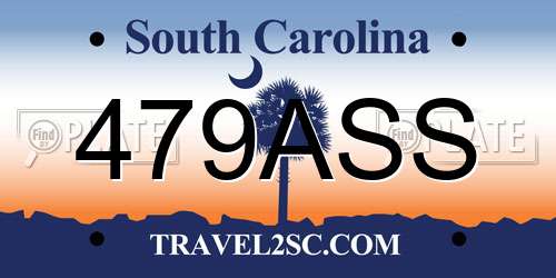 479ASS South Carolina License Plate