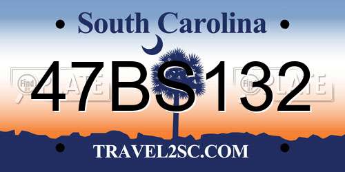 47BS132 South Carolina License Plate