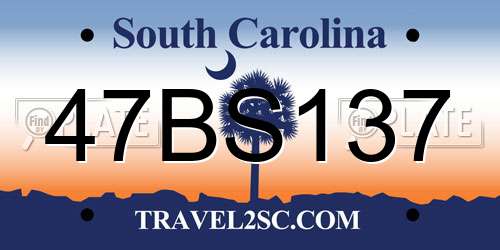 47BS137 South Carolina License Plate