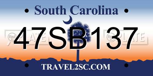 47SB137 South Carolina License Plate