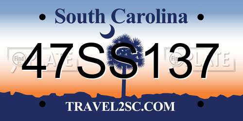 47SS137 South Carolina License Plate