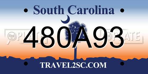 480A93 South Carolina License Plate