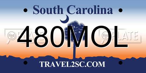 480MOL South Carolina License Plate