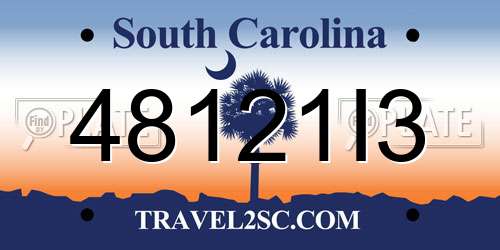 48121I3 South Carolina License Plate