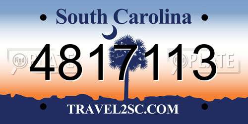 4817113 South Carolina License Plate