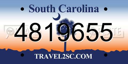 4819655 South Carolina License Plate