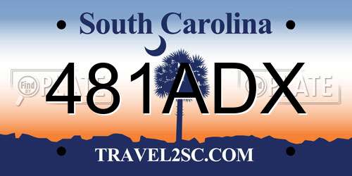 481ADX South Carolina License Plate
