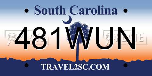 481WUN South Carolina License Plate