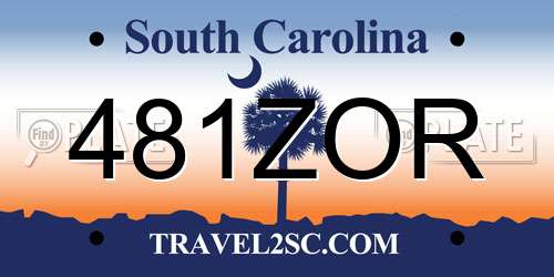 481ZOR South Carolina License Plate