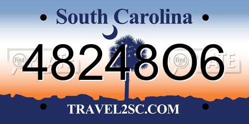 48248O6 South Carolina License Plate