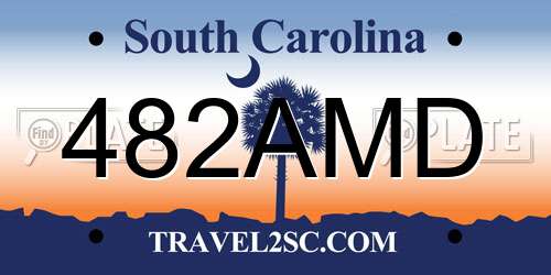 482AMD South Carolina License Plate