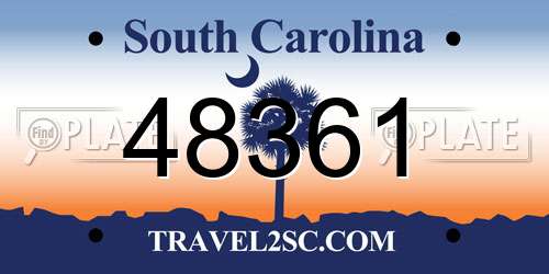 48361 South Carolina License Plate