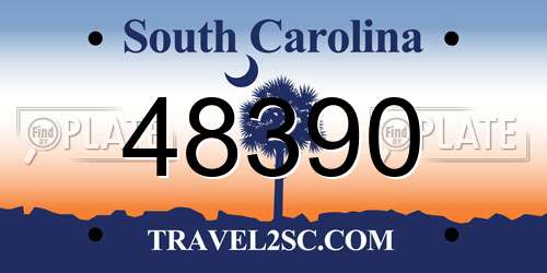 48390 South Carolina License Plate