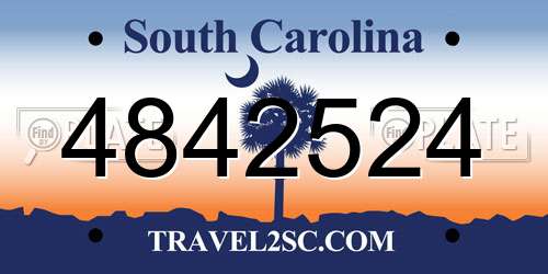4842524 South Carolina License Plate
