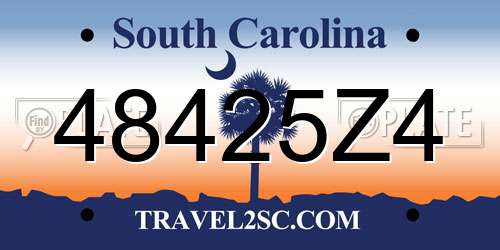 48425Z4 South Carolina License Plate