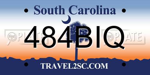 484BIQ South Carolina License Plate