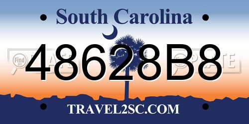 48628B8 South Carolina License Plate