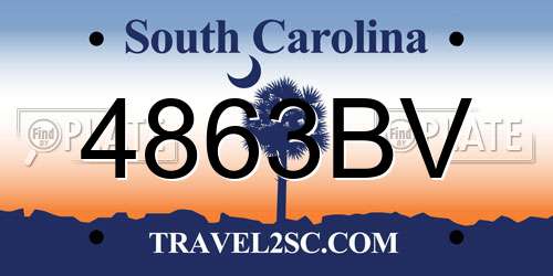 4863BV South Carolina License Plate