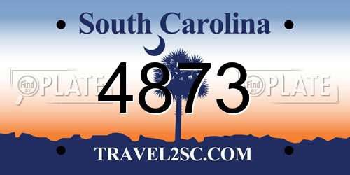 4873 South Carolina License Plate