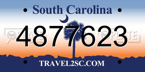 4877623 South Carolina License Plate