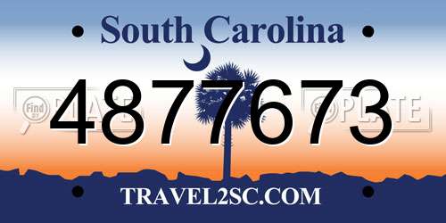 4877673 South Carolina License Plate