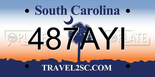 487AYI South Carolina License Plate