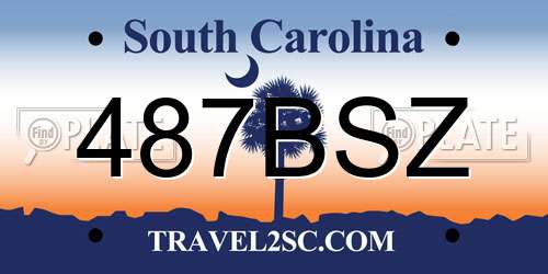 487BSZ South Carolina License Plate