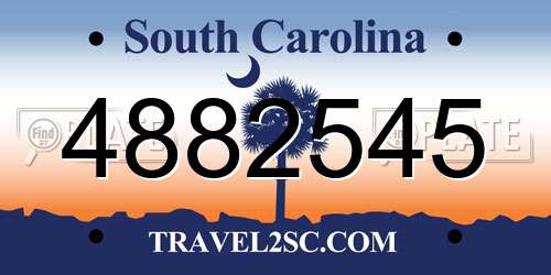 4882545 South Carolina License Plate