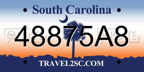 48875A8 South Carolina License Plate