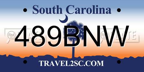 489BNW South Carolina License Plate