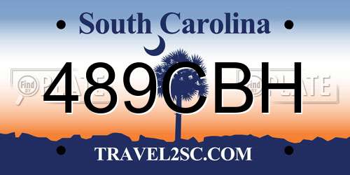 489CBH South Carolina License Plate