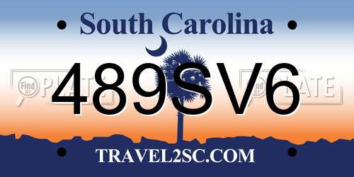 489SV6 South Carolina License Plate