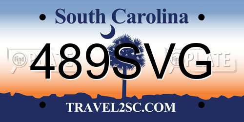 489SVG South Carolina License Plate