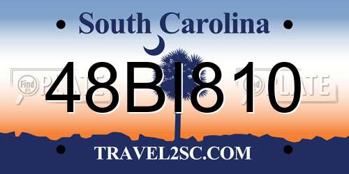 48BI810 South Carolina License Plate