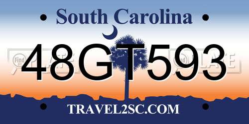 48GT593 South Carolina License Plate