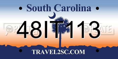 48IT113 South Carolina License Plate
