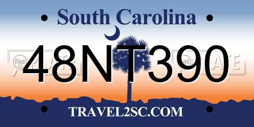 48NT390 South Carolina License Plate