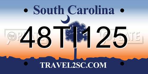 48TI125 South Carolina License Plate