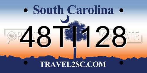 48TI128 South Carolina License Plate