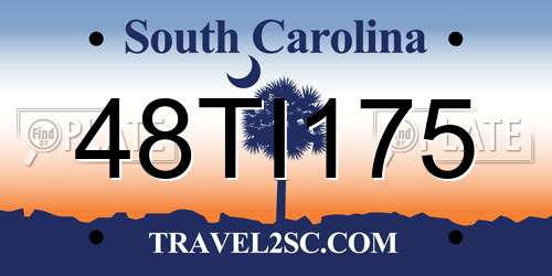48TI175 South Carolina License Plate