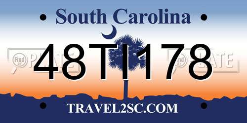 48TI178 South Carolina License Plate