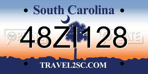 48ZI128 South Carolina License Plate