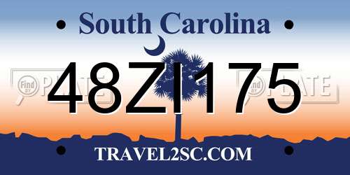 48ZI175 South Carolina License Plate