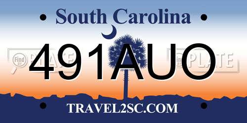 491AUO South Carolina License Plate