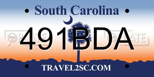 491BDA South Carolina License Plate