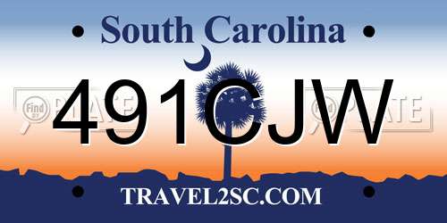 491CJW South Carolina License Plate