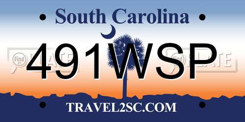 491WSP South Carolina License Plate